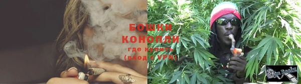 шишки Алзамай