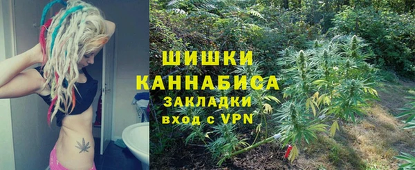 шишки Алзамай