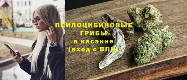 шишки Алзамай