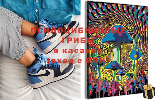 шишки Алзамай