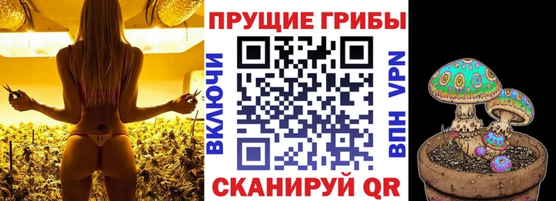 магазин  наркотиков  Трёхгорный  Галлюциногенные грибы ЛСД 